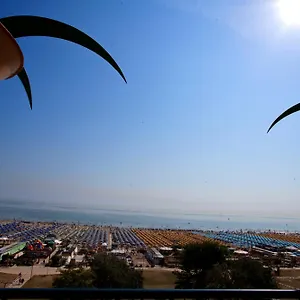 Palm Sea View Rimini